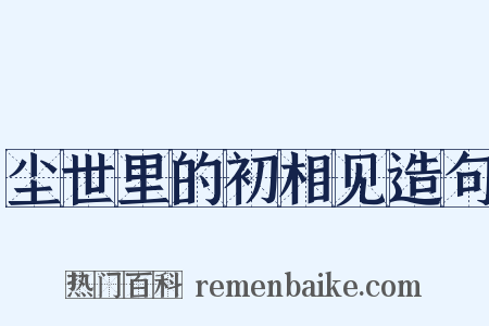 尘世里的初相见造句是什么意思的图片